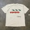 Yaz Moda Retro Mens T Shirt Eğlenceli Meyve Baskı Üstleri Pamuk Kısa Kollu Kadın Sokak Giyim Yuvarlak Boyun Tees 240513