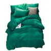 Ensembles de literie Green Winter Fleece Set Ab Side Coup de couette Flanelle 3 / 4pcs lit solide Chiffite de carrosette plat chaud