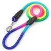 Colliers de chien 1,2 / 1,0 / 0,8 m Cororche colorée Corche en nylon CEINTURATION PET TRACTION DE PETIT DU CONDE