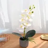 装飾的な花の人工蝶のランポッティング3D印刷フィルム7花底bonsaiリビングルームの装飾のセット