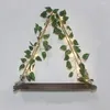 Assiettes décoratives pièce suspendue étagère de mur bohème avec verdure à LED Stockage artistique pour décoration artisanat en bois en bois