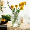 Vases Nordic Large Necked Vase Fresh Flowers Hydroponic Tabletop Glass Living Room Decoration Retro Double Ear