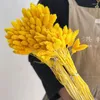 Dekorativa blommor 20-60 st svans naturliga växter färgade ädelsten gräs boho bröllopsdekor torr pampas blomma faux falsk tårta diy