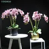 Decoratieve bloemen roze mot orchidee bloemstuk voor kantoordecoratie real touch faux diy 5 stcs 4pcs blad mos vaas