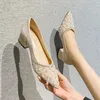 EU Größe 35-43 Großgröße Designerschuhe klobige High Heel Schuhe Frauen weicher spitzer Zehenkleid Schuhe Frauen Closen Schuhe bequeme Frau Fußwear Kristallschuhe