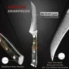 Peeling Paring Knife 3.5 "Damascus VG10 Super Steel-Vacuum Treated-Razor Sharp Chef's Knife Eagle-Curved Blade-Sheath ingår