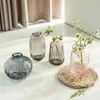 Vases Decor Modern Living Room Vase Bud Glass Hydroponics For Transparent Flower Decorative Bottle Table Mini Ornaments Plant