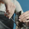 Abbigliamento per cani 5 pezzi per le forbici un chiodo rimovibile Rimovibile per i capelli per animali domestici Parti di stile in acciaio inossidabile