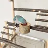 Other Bird Supplies Playground Stand Swing Climbing Ladder Parrot Playstand Exercise Playgym For Parakeet Cockatiel Parrots Standing Play