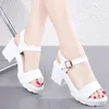 Freizeitschuhe grenzüberschreitende europäische und amerikanische High Heel Sandalen Frauen klobige Plattform Mode-Knöchel-Straße Open Tobe Leder