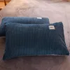 Sängkläder set Magic Velvet Fleece Set 3-4st Solid Color Stripe Ab Side Däcke Cover Bed Sheet Pillow Case Flannel Winter Warm Linen