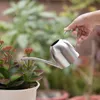 Stainless Steel Watering Pot Garden Plant Flower Long Mouth Sprinkling Pot Watering Accessories 450ml/800ml/1500ml 240508