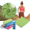 Handdoek Outdoor Quick-droge ijshanddoeken Fitness Klimmen Yoga Oefening Rapid Koeling Sport Microfiber Fabric Home Textiel