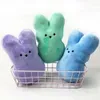 Doll Carrot Star Keychain Cute Bunny Kawaii Easter Room Sofa Desktop Decoratie Gevulde dierenspeelgoed Kids Gift 2.5