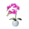 Dekorativa blommor PU Butterfly Orchid Artificial Flower Bonsai Ceramic Vase Set Home Living Room Wedding Decorations Ornament Moth Potting