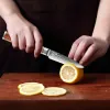 Xituo Damas Steel Fruit Couteau Damas Japonais VG10 ACIER COUNDES