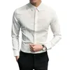 Botão de moda de moda masculina de vestido de moda solta coreana 2024 Tops casuais de tamanho grande de primavera camisa de manga longa