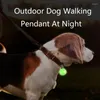 Abbigliamento per cani LED Luminio con colletto gatto luminoso a pendente flash luci per animali domestici con lead di accessori per le forniture per le forniture per camminate notturno.