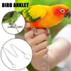 Autres fournitures d'oiseaux Chaîne à pied en acier inoxydable Perrot Herness Training Training Training Anklet Ring Stand Support