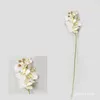 Fleurs décoratives 10pcs / lot !!!En gros 3d Real Touch Orchidées de papillon artificiel Latex Moth Orchid Wedding Phalaenopsis