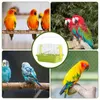 Other Bird Supplies Transport Portable Cage Parrot Wire Material Carrying Or Birds Travel Small Pets Rats Rabbits Parakeet