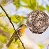 その他の鳥の供給ペット噛むおもちゃハチドリのネスティングオウムラタンボールワイヤー