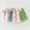 Baby Girls Robes Cute Summer Kids Vêtements Flogars broderie robe en mailles