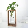 Vastes en verre hydroponique vase contenant du terrarium Terrarium Flower Pot Stand