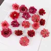 3 pezzi di fiori decorativi ghirlanti di seta rosa fiori artificiali testa peonia fiori finti per decorazioni per la casa decorazione matrimoniale decorazione fai da te sposa accessori artigianali