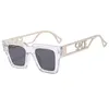 Mens Designer Sunglasses Polarized Sunglasses for Women Letter Metal Legs Sunglass Goggle Adumbral Casual Eyeglasses Hundred Take UV400