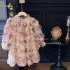 Robe de filles automne 2024 style coréen style occidental bébé manche bouffée en trois dimensions robe de princesse farcent 240513