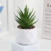 Decorative Flowers Evergreen Artificial Succulent Mini Cactus Fake Plants Succulents Bonsai Plastic Small Potted Home