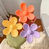 Accessoires de cheveux 6pcs Fashion Flower CL CLIP pour les femmes Girls Sweet Hair Cl Clairs Clats Colorful Tail Crab Band Band ACCESSOIRES