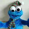 Sesame Street Cookie Christmas Cosplay Cartoon Toy Toy en peluche 35cm 240513