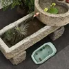 Water Turtle Tank Turtle Habitat Baby Turtle Tank Anti-Slip Wijd afneembare schildpad Habitat voor rivierkreeft Schildpadden kleine reptielen 240506