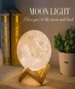 Pampas Grass Thinker 3D Print LED lampe Moon Home Chambre Decor Creative Mood Night Light USB RECHARGE TOUCH PAT CONTRÔLE COLORFUL329989462