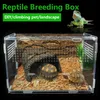 Reptil avelsbox Akrylterrarium matningsbox transparent för djur Reptil Pets Insect Spider Lizard Frog Cricket Turtle 240506