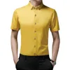 Erkekler Elbise Gömlek Yaz Erkek İnce Fitting İş İşi Gömlek Sıradan Yakışıklı Tartış Yakası Kısa Slve Gömlek Erkekler Soild Bluuses Moda Y240514