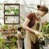 Vasi di vetro Strumenti murale stazione terrarium fiore di raio