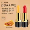 YANQINA warm sense carotene color changing lipstick for women