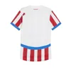 2024 2025 Paraguay Soccer Jersey 24 25 Copa America Americ