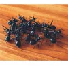 Jednorazowe sztućce 2024 powieść 12PCS Ant Kokółpick