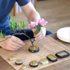 Декоративные цветы Ikebana держатель коса