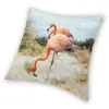 Pillow Fashion Flamingo Couple de couple décoration 3D Boublon à imprimé double face pour canapé