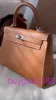 Aabirdkin Disdicate Luxury Designer Totes Sac Nouveau 25 or Epsom Vendeur B avec boîte complète Rec Rec Women's sac à main