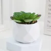 Decorative Flowers Evergreen Artificial Succulent Mini Cactus Fake Plants Succulents Bonsai Plastic Small Potted Home
