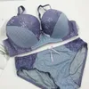 Bras Set 2023 Nuovi cinturini in pizzo sexy tuffo il reggiseno push up per donne biancheria intima plus size lingerie bcde coppa sottoposta a brassere y240513