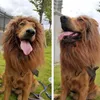 Hundkläder Halloween Lion Mane Wig Hat For Dogs and Cat Small Plear Pet Decor Accessories Fancy Hair Cap Supplies