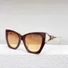 Fashion Sunglasses Frames Designer tiktok en ligne personnalité de célébrité