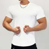 男性の新しいSフィットネストレーニングランニングレジャー垂直ストライプ半袖TシャツTRIPE HORT HORT LEEVE HIRT